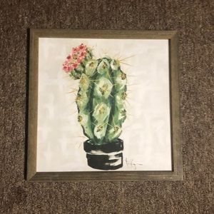 Cactus picture